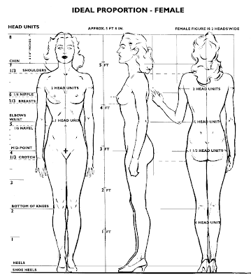 Ideal Male Body Measurements