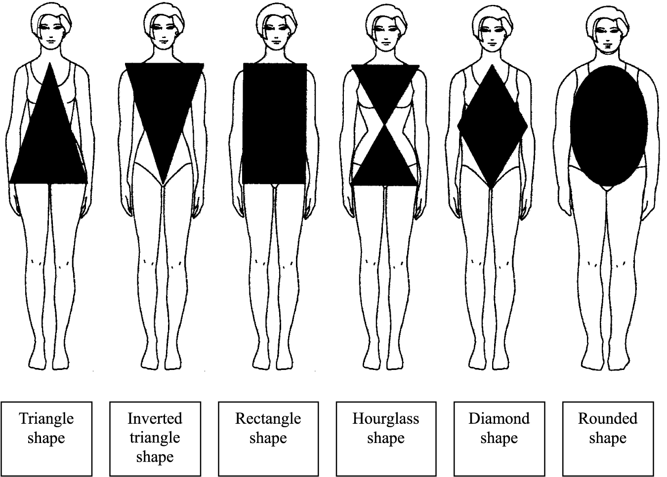 Ideal Male Body Proportions