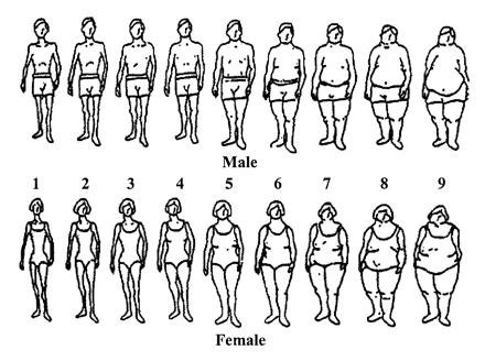 Ideal Woman Body Shape