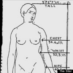 Ideal Woman Measurements