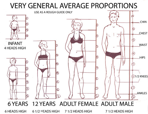 Ideal Woman Measurements