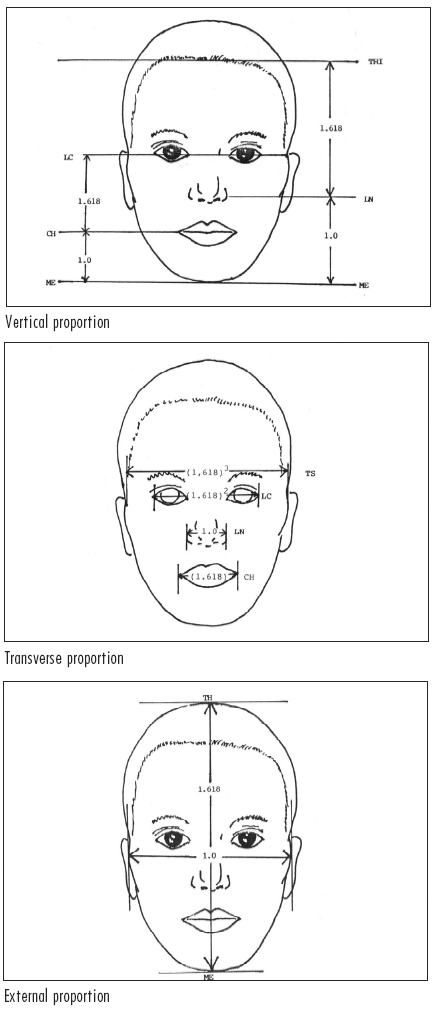 Ideal Woman Measurements