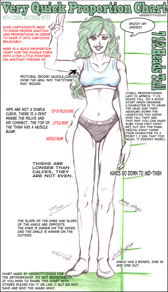 Ideal Woman Measurements