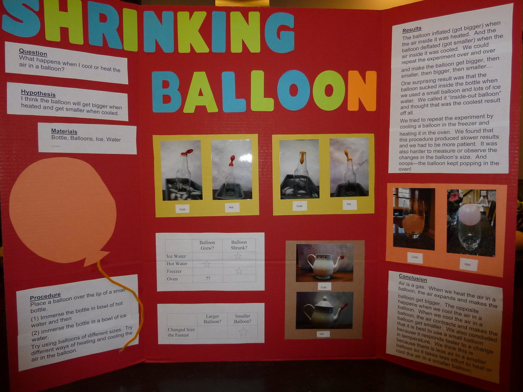 Ideas For Science Fair Projects For 7th Graders