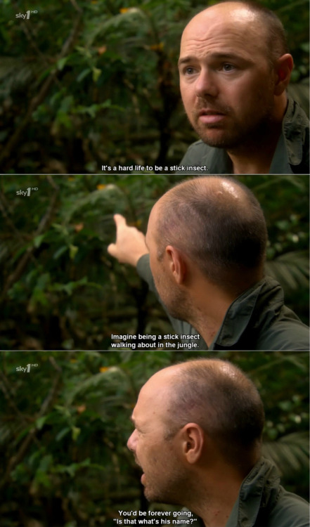 Idiot Abroad Bullshit Gif