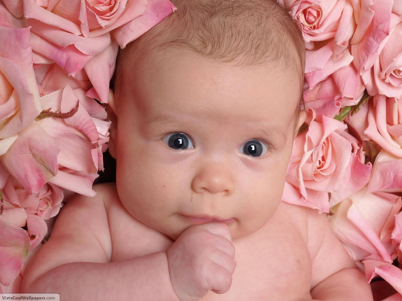 Images Of Babies With Flowers