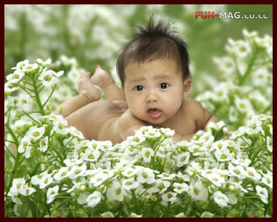 Images Of Babies With Flowers