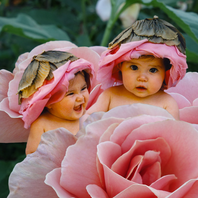 Images Of Babies With Flowers