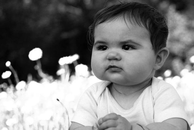 Images Of Babies With Flowers