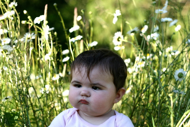 Images Of Babies With Flowers