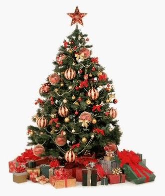 Images Of Christmas Trees