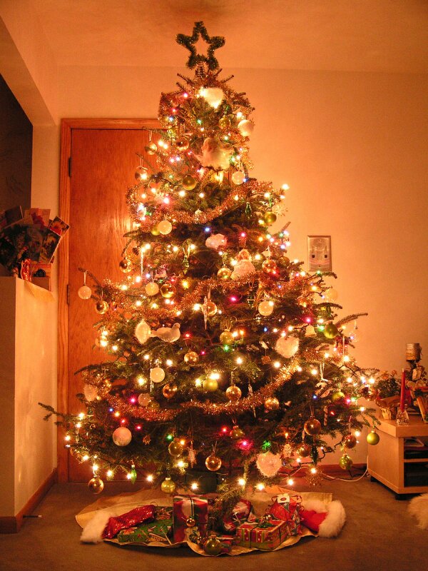 Images Of Christmas Trees