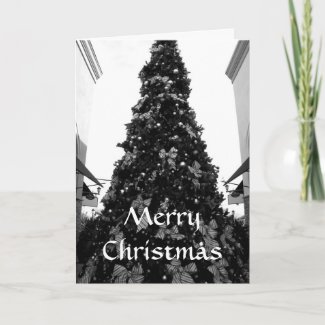 Images Of Christmas Trees In Black And White