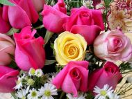 Images Of Flowers And Roses