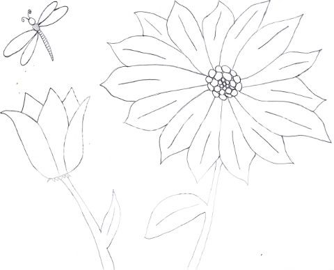 Images Of Flowers To Draw