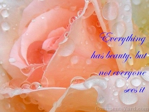 Images Of Flowers With Quotes