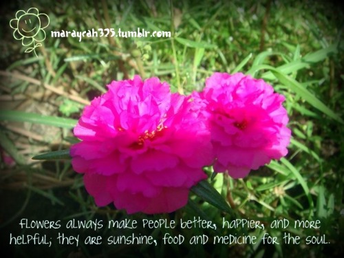 Images Of Flowers With Quotes