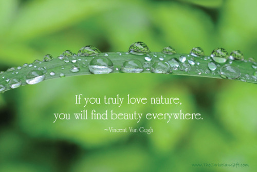 Images Of Nature With Quotes