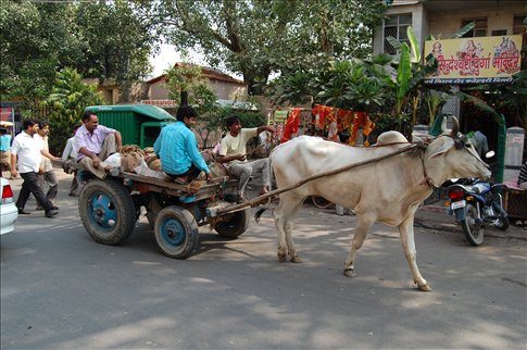 Images Of Transportation In India