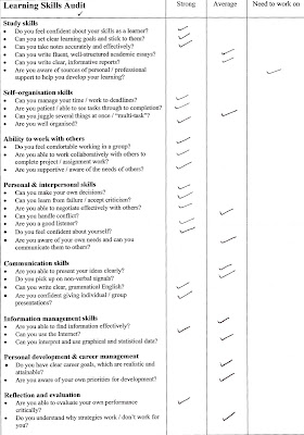 Individual Skills Audit