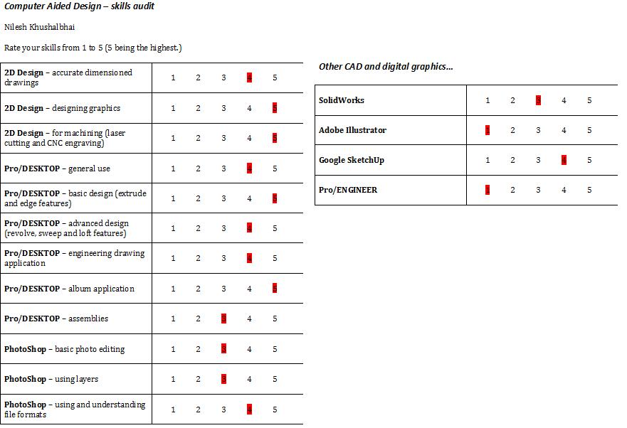 Individual Skills Audit