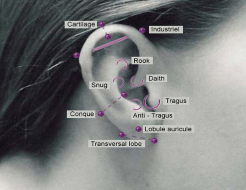 Industrial Piercing Pictures