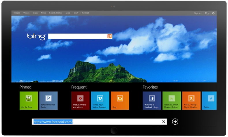 Internet Explorer 10 Windows 8 App