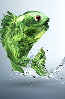 Iphone Wallpaper Fish