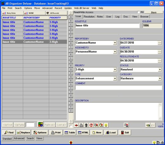 Issues Log Template