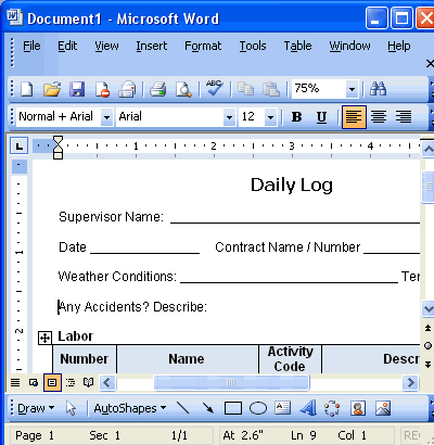 Issues Log Template Project Management