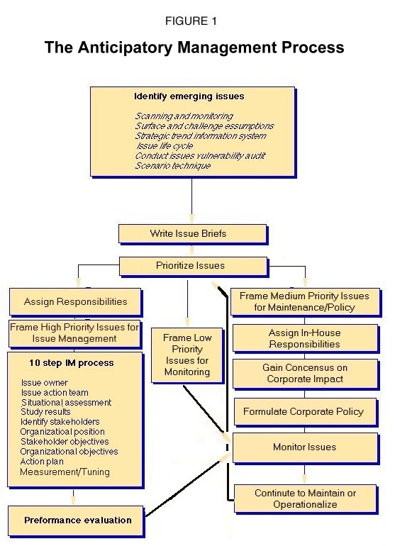 Issues Management Examples