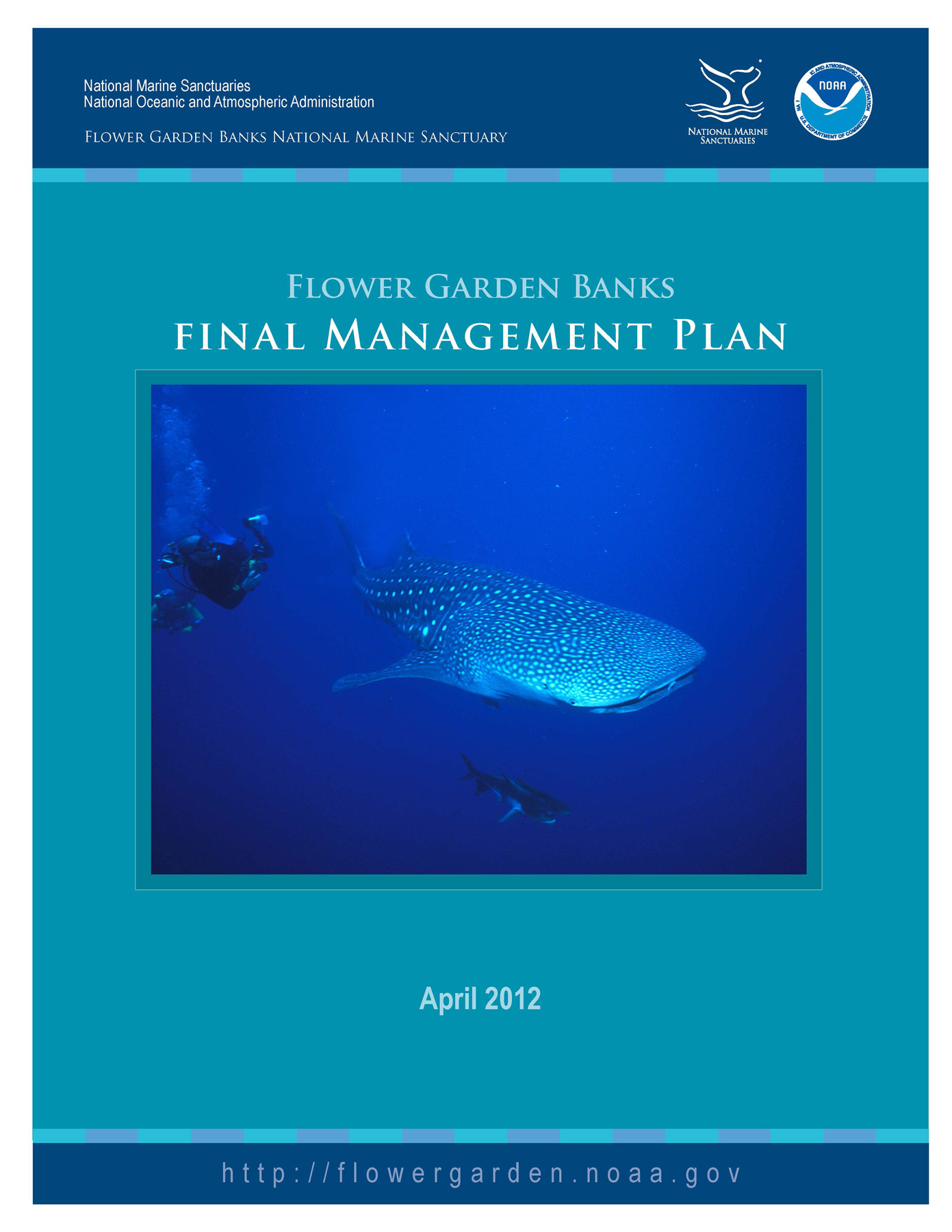 Issues Management Plan