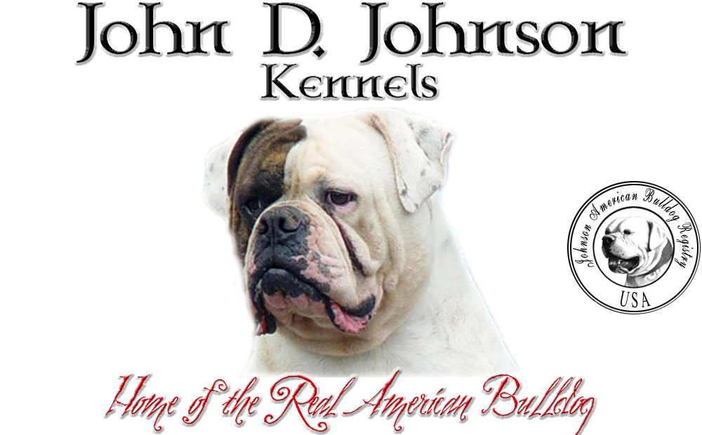 Johnson American Bulldog Puppies For Sale In Ohio