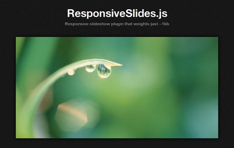 Jquery Slideshow Images Different Sizes