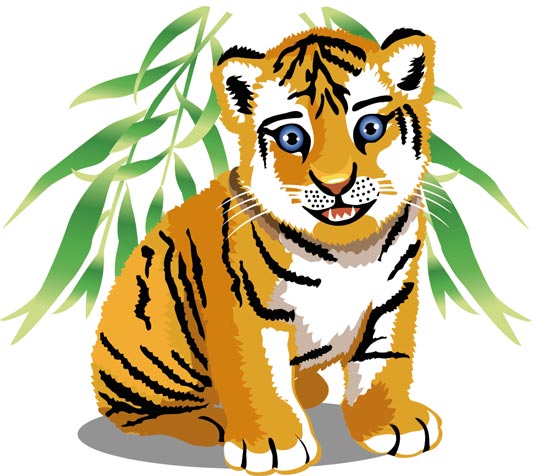 Jungle Animals Cartoon Images