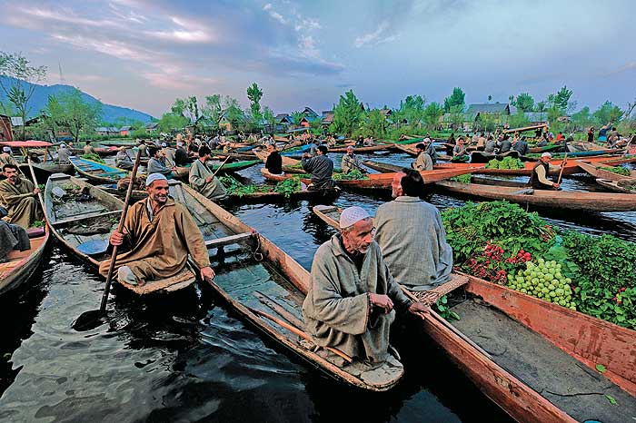 Kashmir Apple Tree Images