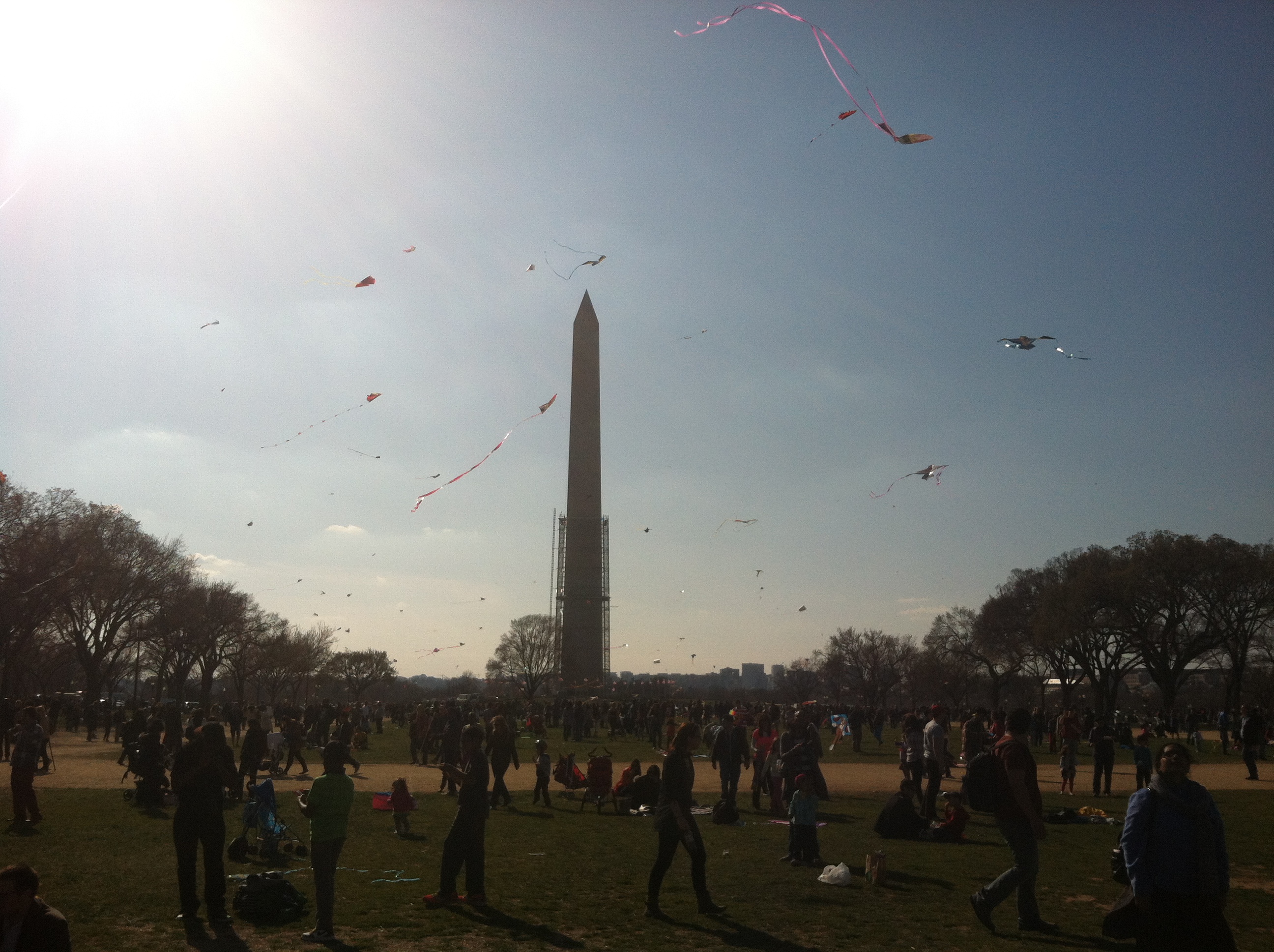 Kite Festivals Around The World