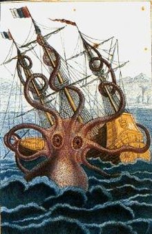 Kraken Squid