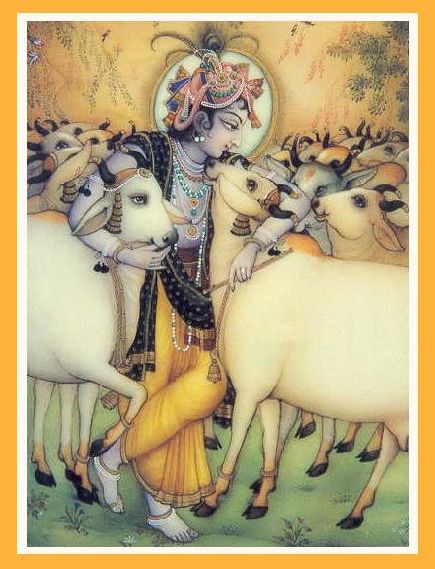 Krishna With Cow