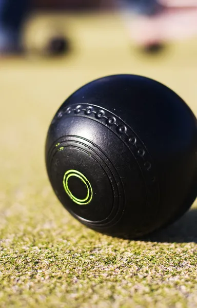 Lawn Bowls Ball