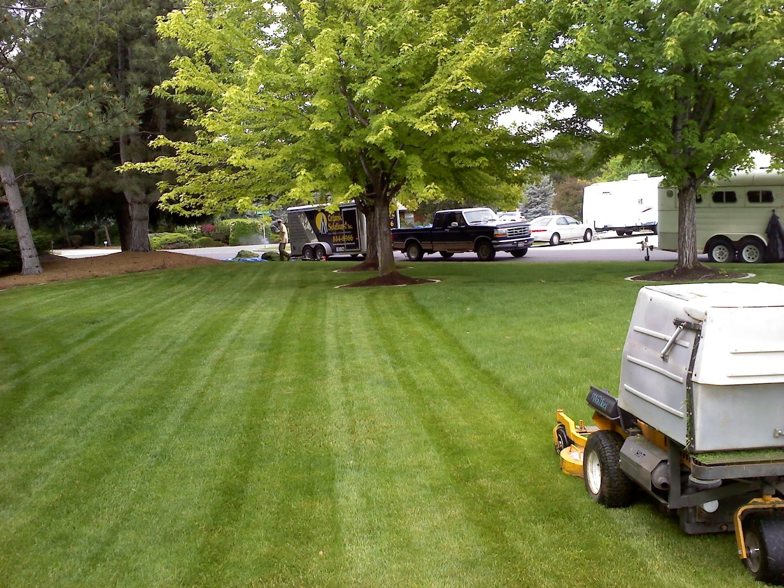 Lawn Mowing