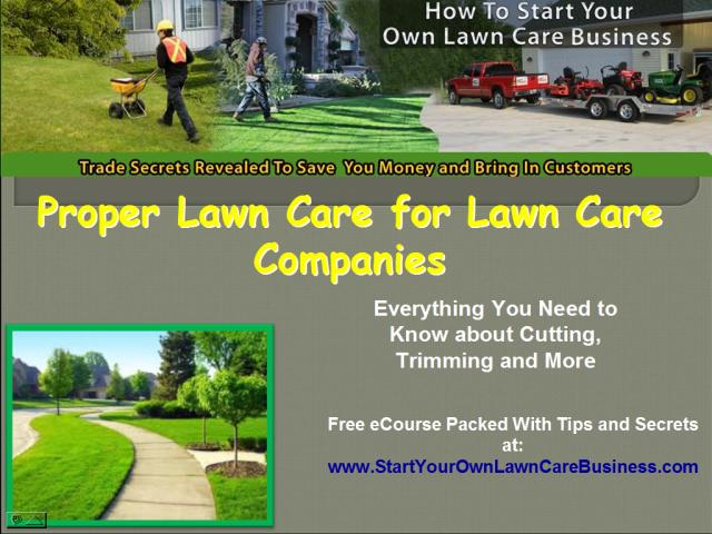 Lawn Mowing Business Tips