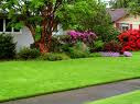 Lawn Mowing Services Albany Ny