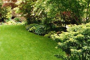 Lawn Mowing Services In Spring Tx