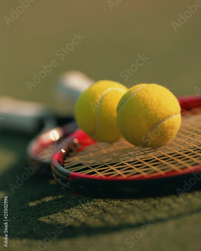 Lawn Tennis Ball Price