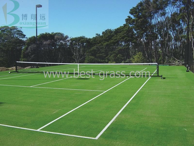 Lawn Tennis Court