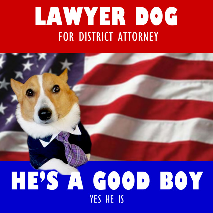 Lawyer Dog Corgi