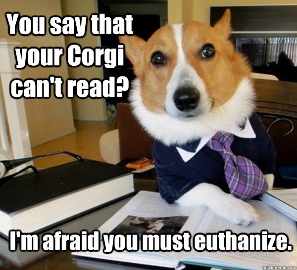 Lawyer Dog Corgi