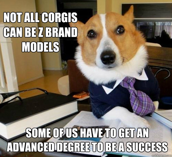 Lawyer Dog Corgi