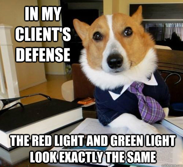 Lawyer Dog Corgi